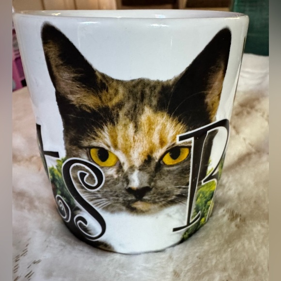 Cats Rule 3D Embossed
Mug Americaware - Picture 8 of 10